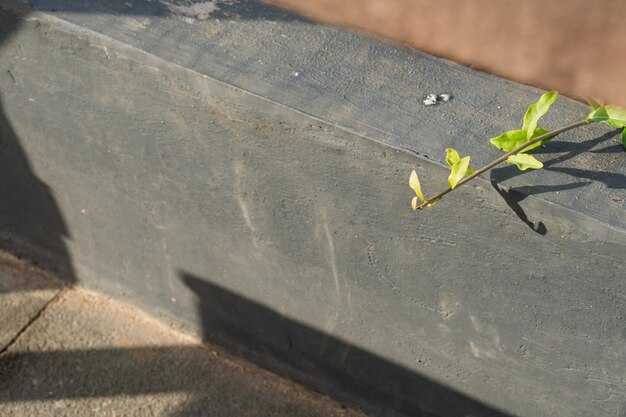 Использование эпоксидной смолы для ремонта