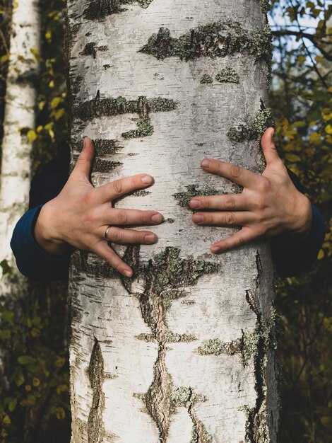 Опасности для дерева в urban-среде: как защитить от загрязнений