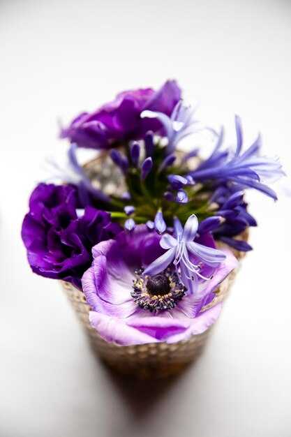 Как предотвратить накопление пыли на растениях?