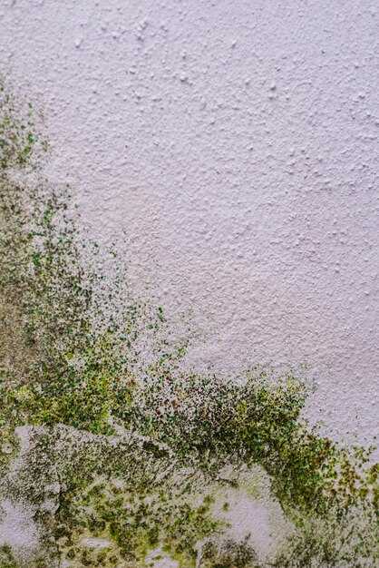 Проведение профилактических мероприятий