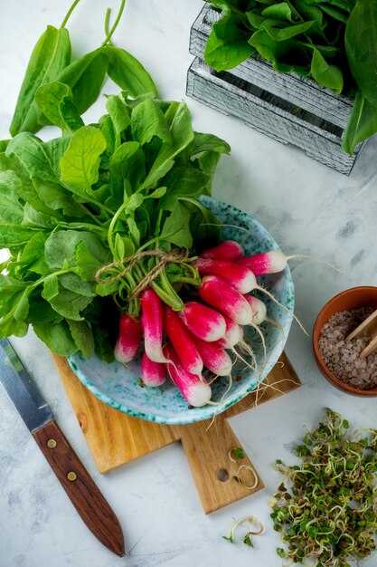 Уникальные характеристики колеуса Religious Radish