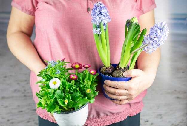 Правила полива и удобрения для здоровья растения