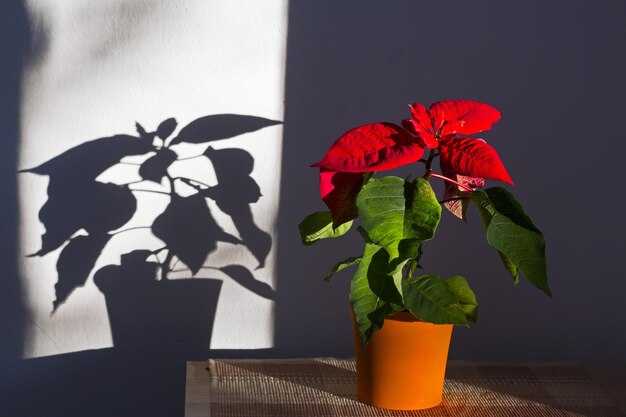 Сравнение красного света с другими спектрами света