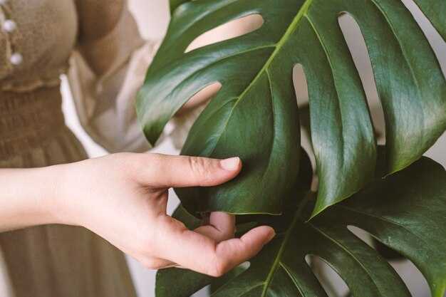 Борьба с вредителями и болезнями