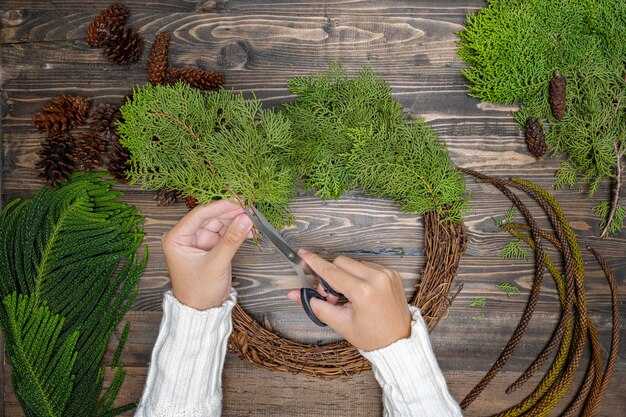 Выбор вида мха для панно