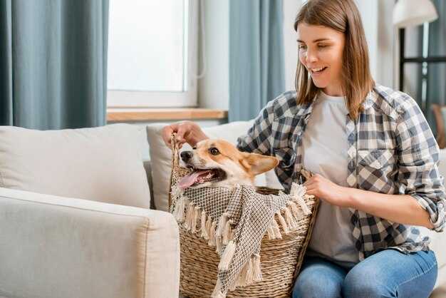 Pes: Что за ткань?