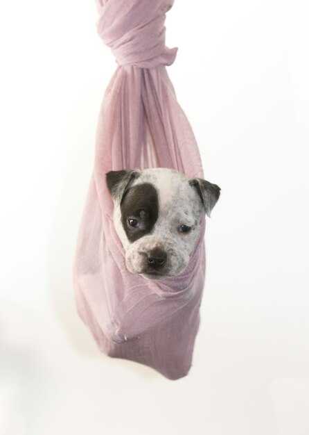 Альтернативы Pes: что выбрать?