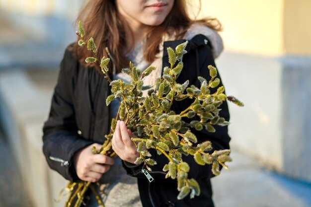 Колеус Сергей — Уникальные тайны, уход и размножение