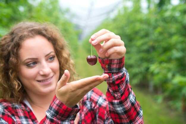 Петхоа Supercal Cherry Impr — Уникальные особенности и советы по уходу