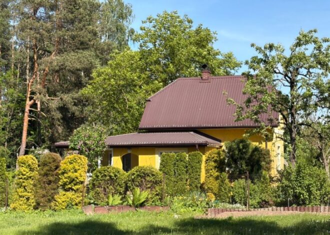 Что можно создать из ДСП для дома и дачного участка